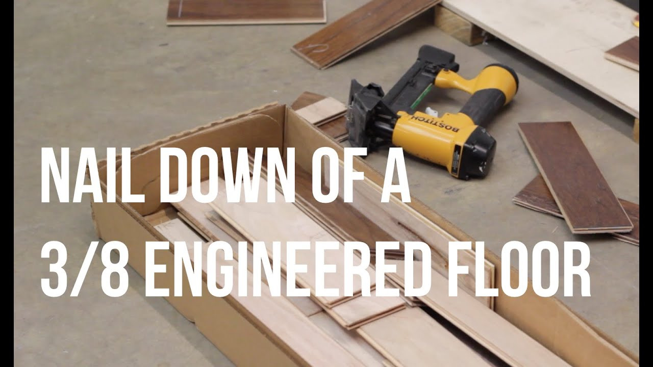 29 Lovely Hardwood Floor Spline 2024 free download hardwood floor spline of how to nail down of a three eighths engineered floor inside how to nail down of a three eighths engineered floor reallycheapfloors com install series youtube