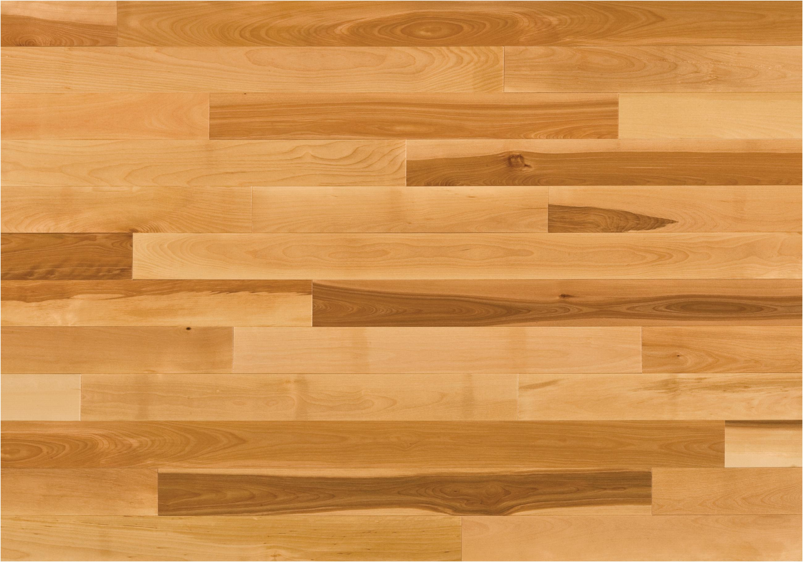 25 Unique Hardwood Floor Types Hardness 2024 free download hardwood floor types hardness of birch hardwood flooring pros and cons flooring design inside birch hardwood flooring pros and cons unique pin od pouac285ac2bevateac284ac2bea javiera vives n