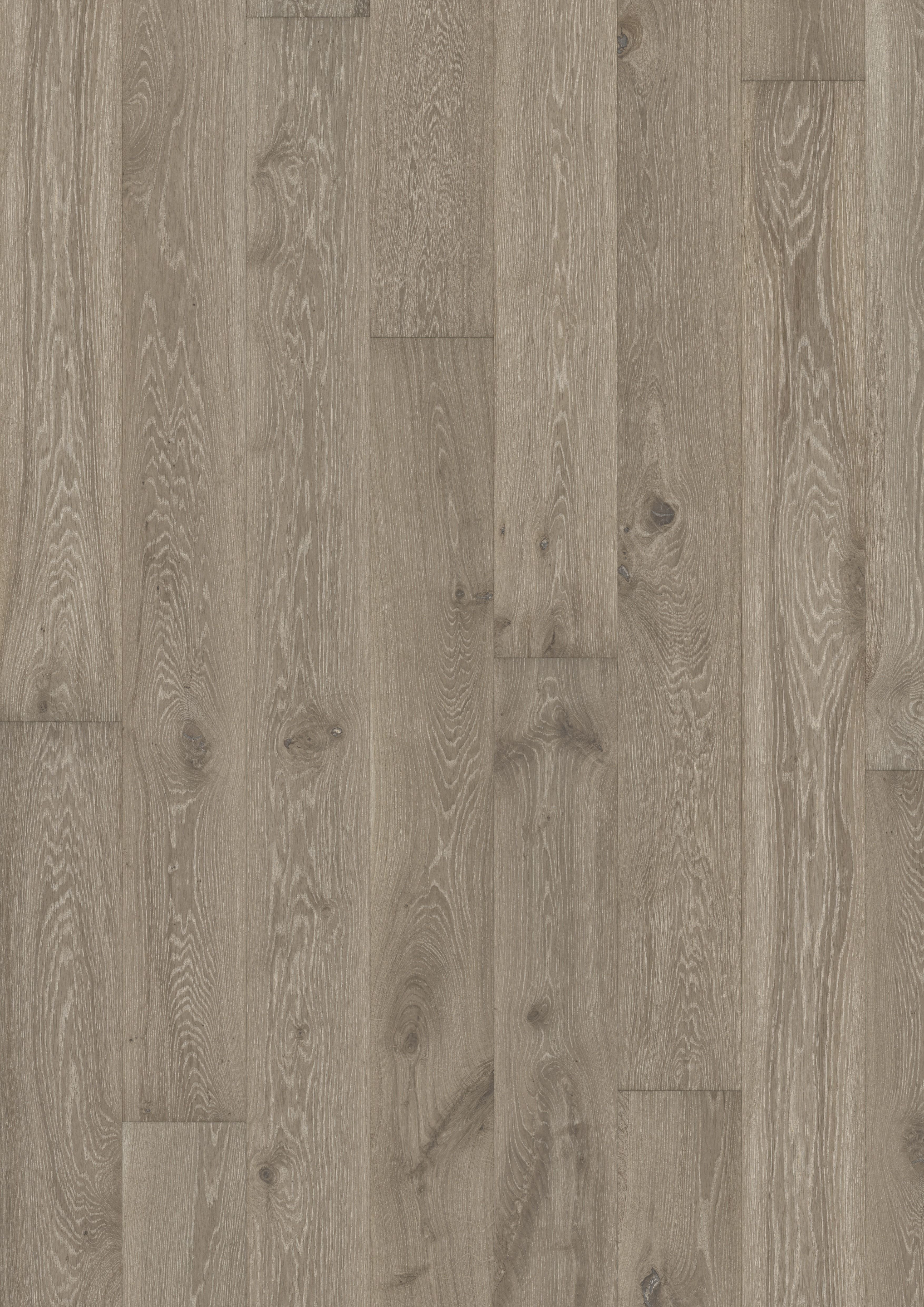 13 Popular Hardwood Flooring Suppliers Canada 2024 free download hardwood flooring suppliers canada of hardwood floor suppliers 50 awesome hardwood flooring manufacturers in hardwood floor suppliers hardwood floors kac2a4hrs oak nouveau gray