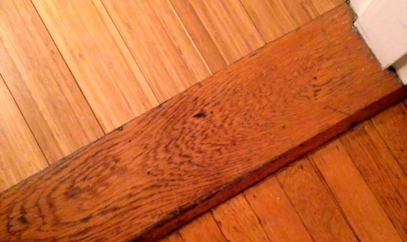 22 Unique Hardwood Floors Discount Prices 2024 free download hardwood floors discount prices of bona hardwood floor cleaner mop elegant homemade hardwood floor for bona hardwood floor cleaner mop elegant homemade hardwood floor cleaner fresh floor a c