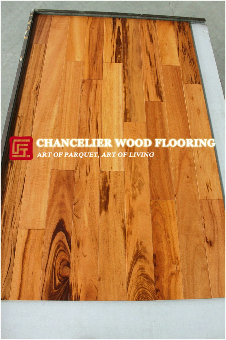 22 attractive Junckers Hardwood Flooring Reviews 2024 free download junckers hardwood flooring reviews of walnut flooring pros and cons new floor hickory woods reviews for intended for related post