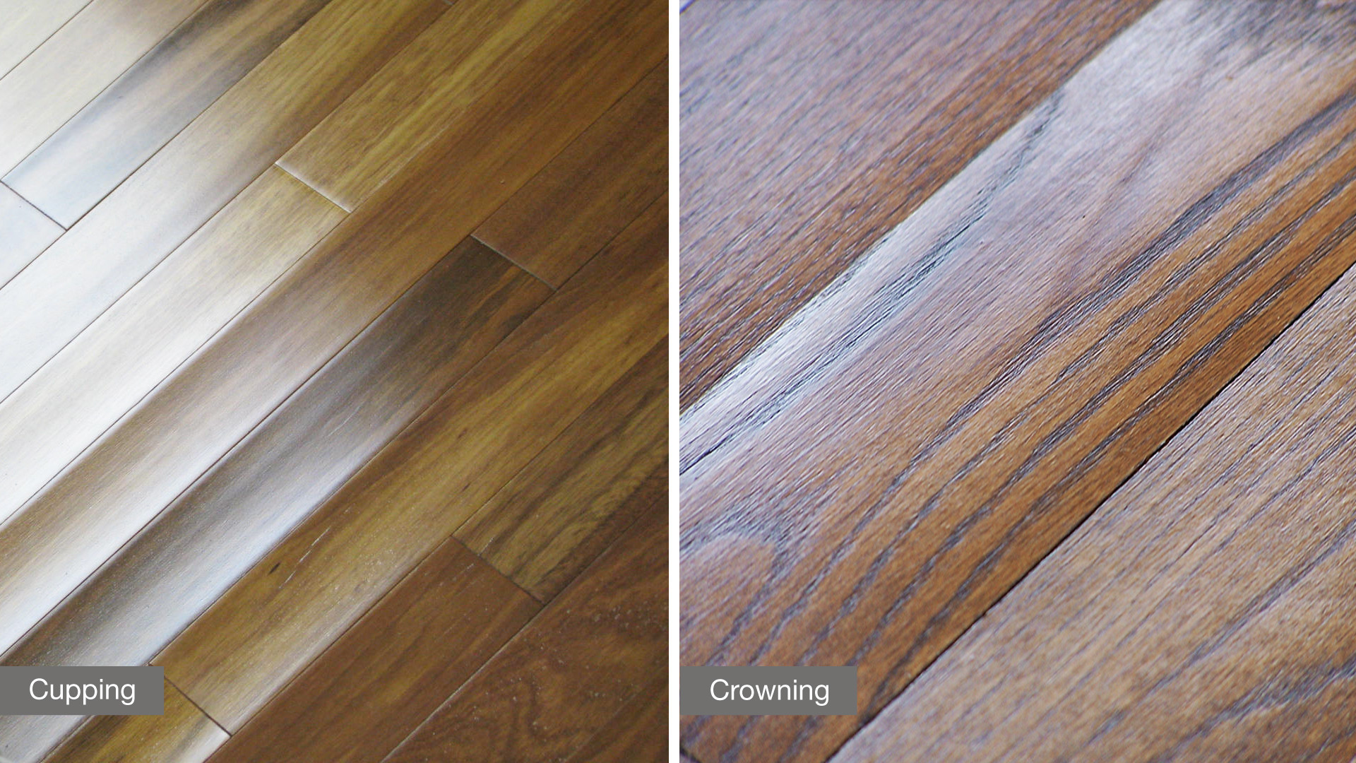 19 Awesome Lauzon Hardwood Flooring Reviews 2024 free download lauzon hardwood flooring reviews of hardwood flooring deals ontario flooring ideas with floor gallery projects flatout buckling is one of the most extreme reactions to moisture that can occu