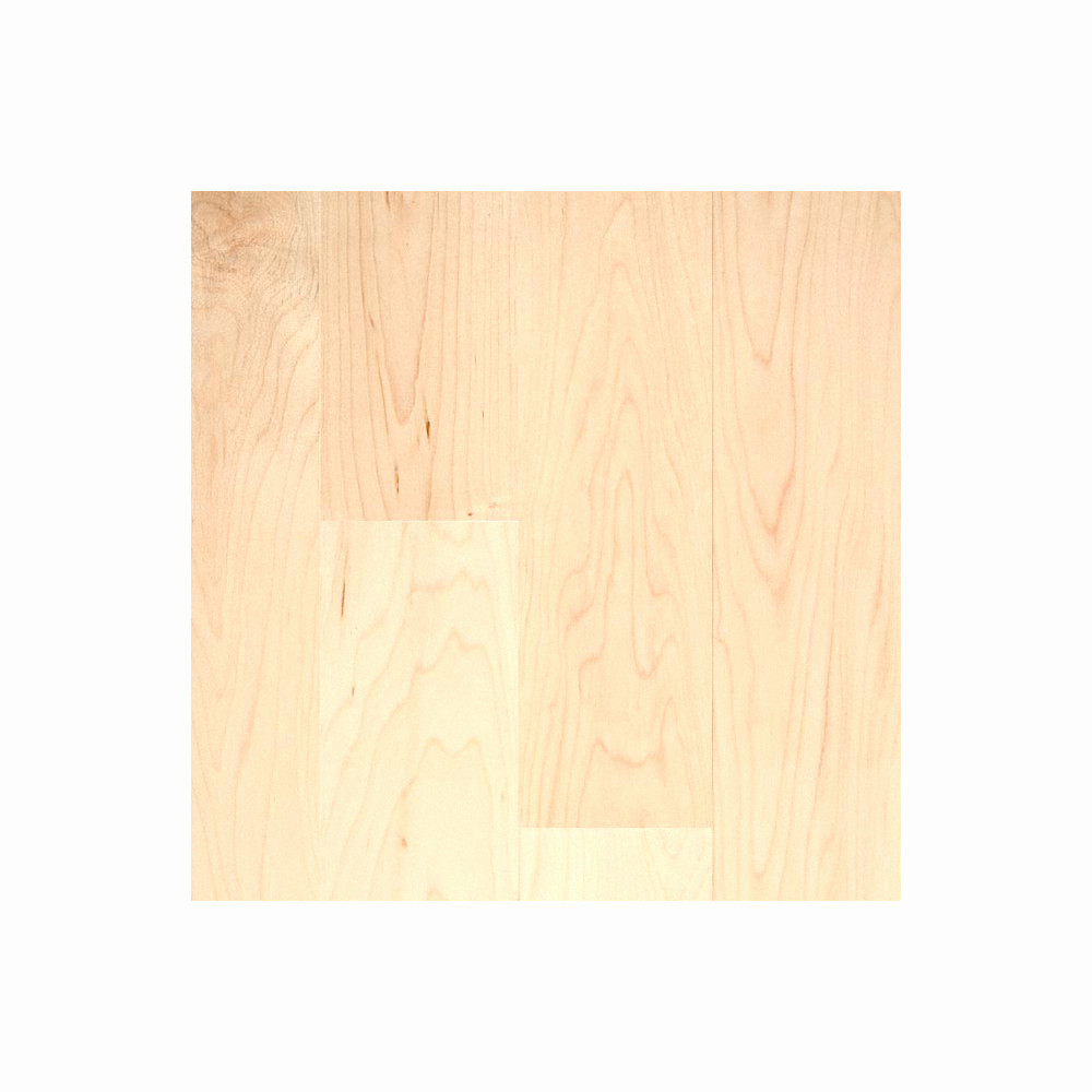 15 Stylish Liquidation Hardwood Flooring 2024 free download liquidation hardwood flooring of 30 fresh image of lumber liquidators kingsport tn kendallquack com for lumber liquidators kingsport tn fresh odd lot hardwood flooring 3 8 x 3 select