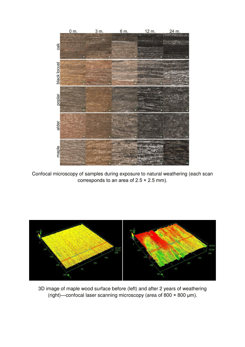 23 Nice Maple Cinnamon Hardwood Flooring Reviews 2024 free download maple cinnamon hardwood flooring reviews of pdf singh t singh ap a review on natural products as wood within a review on natural products as wood protectant wood sci technol