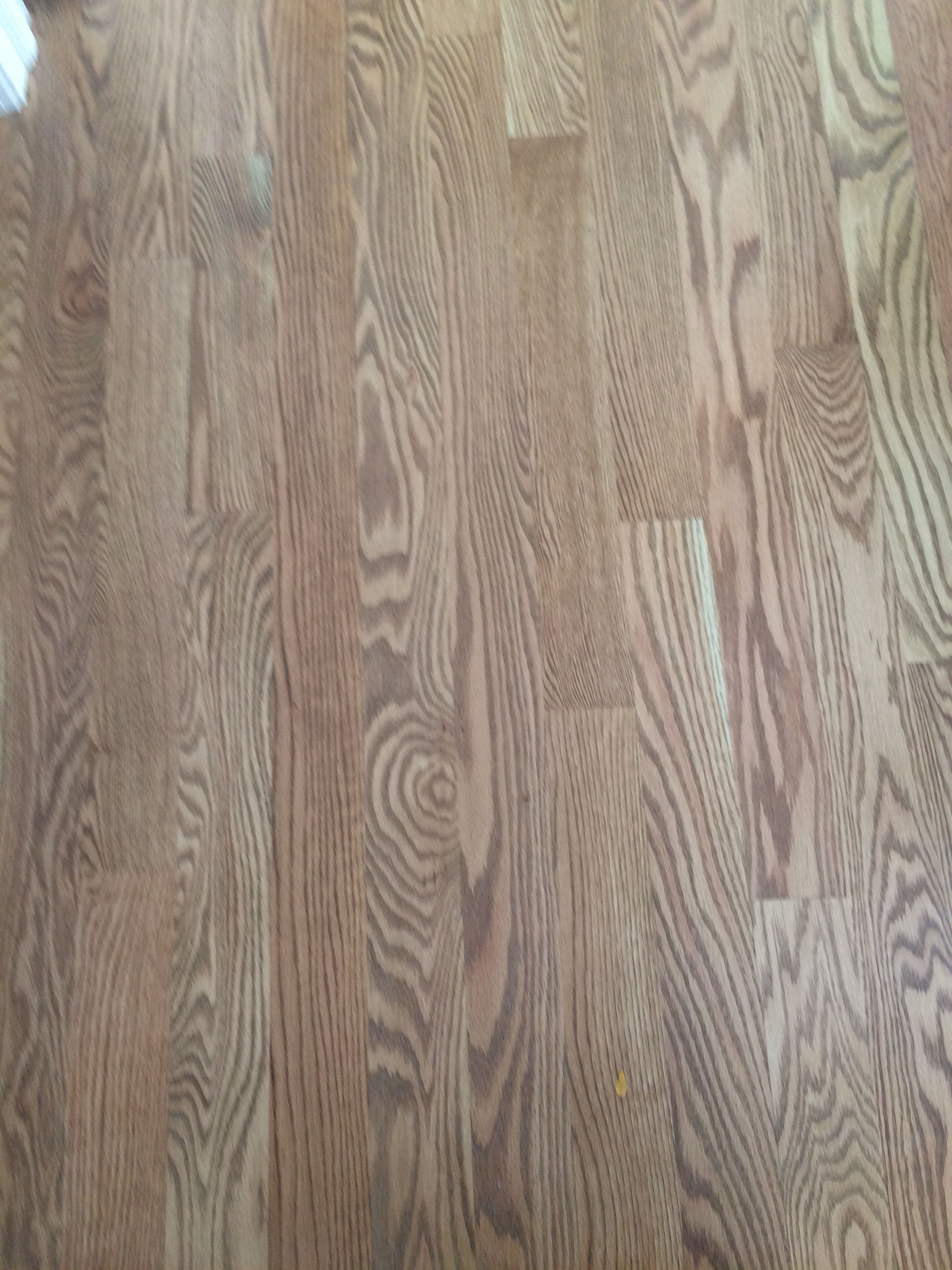 16 attractive Minwax Hardwood Floor Stain 2024 free download minwax hardwood floor stain of red oak hardwood with weathered oak stain minwax and satin oil with regard to red oak hardwood with weathered oak stain minwax and satin oil finish