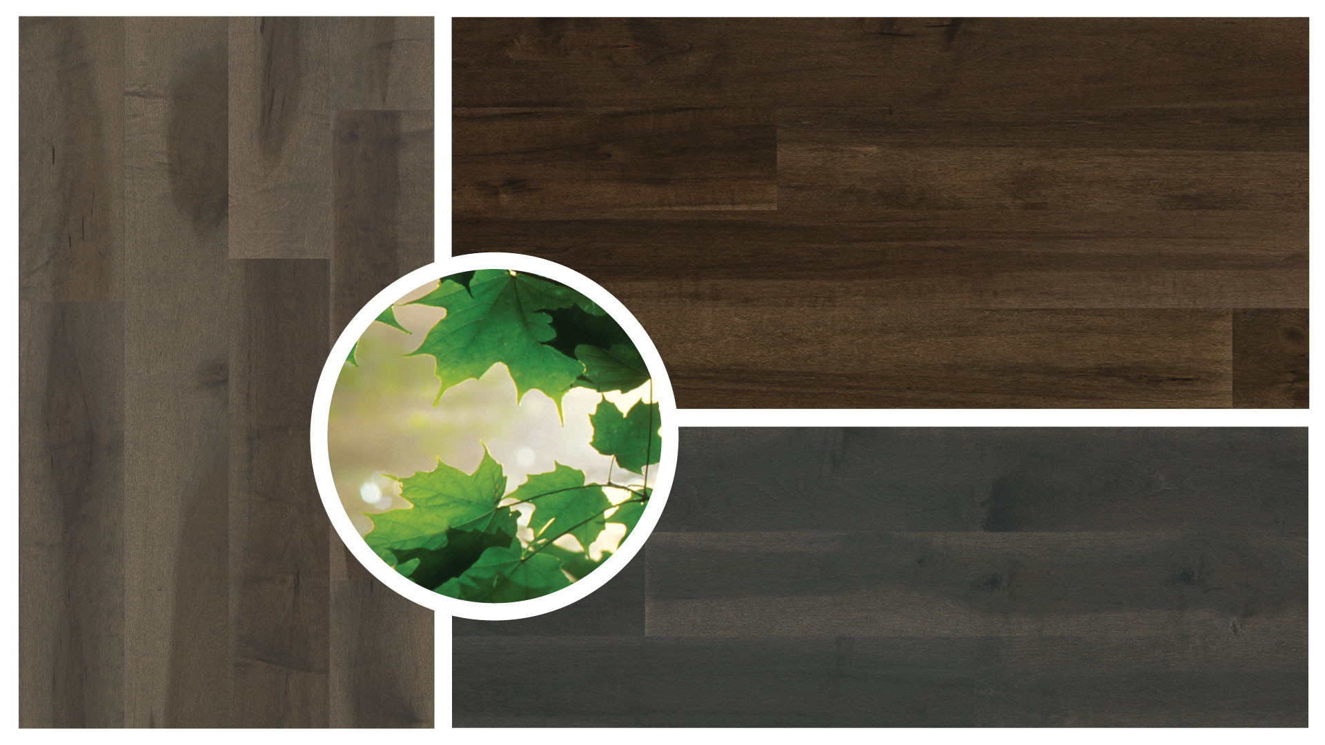 Most Popular Hardwood Floor Colors 2015 Of 4 Latest Hardwood Flooring Trends Lauzon Flooring Inside Elegant organik Series Hardwood Flooring Boasts Extensive tonal Variation for A Chameleon Effect Becoming Lighter or Darker Depending On the Lighting and