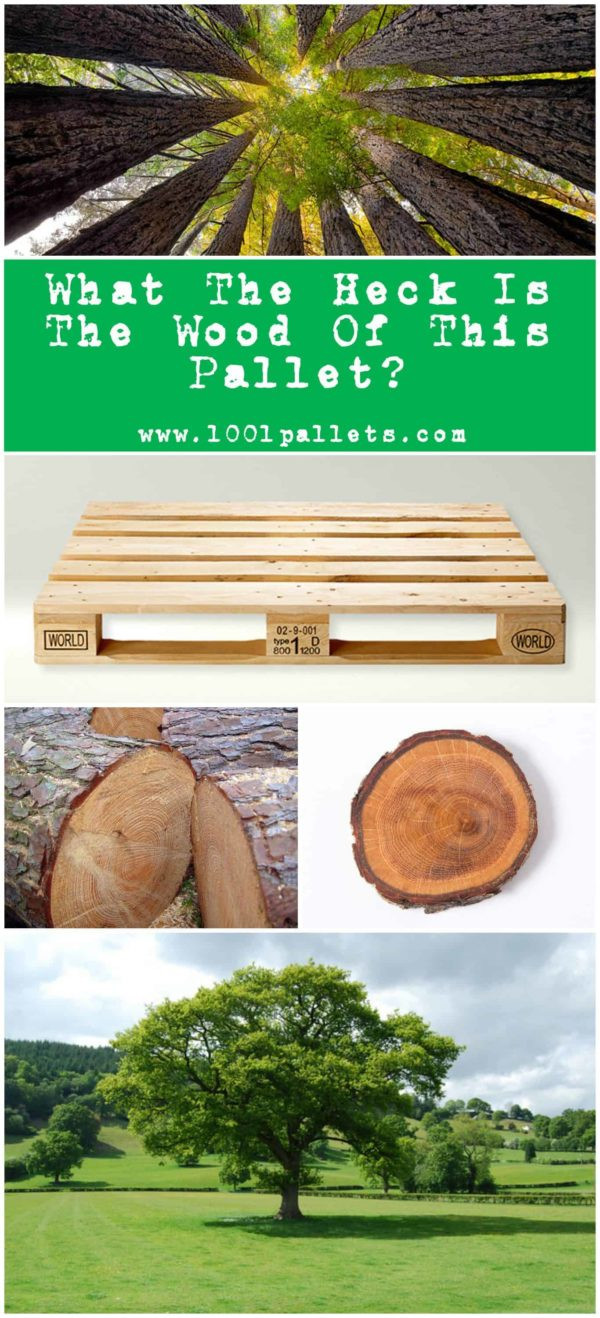 11 Fantastic O Cedar Hardwood Floor and More 2024 free download o cedar hardwood floor and more of wood types what the heck pallets are made out of e280a2 1001 pallets with regard to learn how to identify the different types of pallet wood