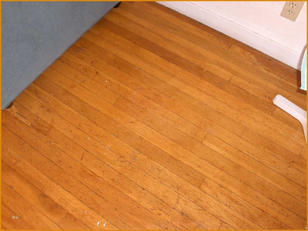 27 Famous Pallmann Hardwood Floor Cleaner 32 Oz 2024 free download pallmann hardwood floor cleaner 32 oz of 78 luxury photograph of murphys oil wood floor wood floor with regard to mineral oil to clean wood floors