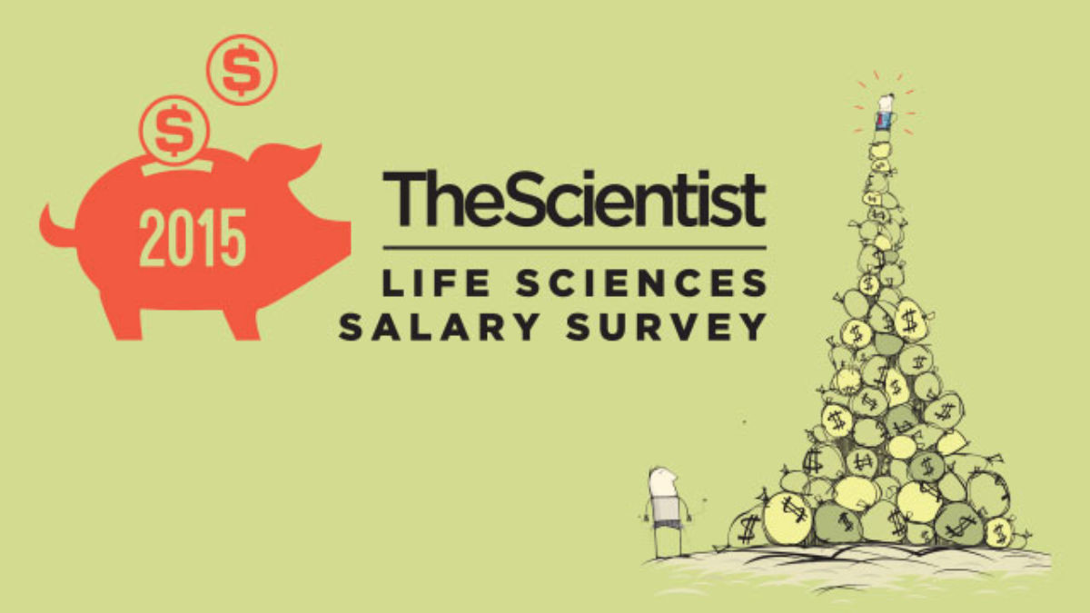 18 Recommended Pc Hardwood Floors Newark Nj 2024 free download pc hardwood floors newark nj of 2015 life sciences salary survey the scientist magazinea throughout salary survey l