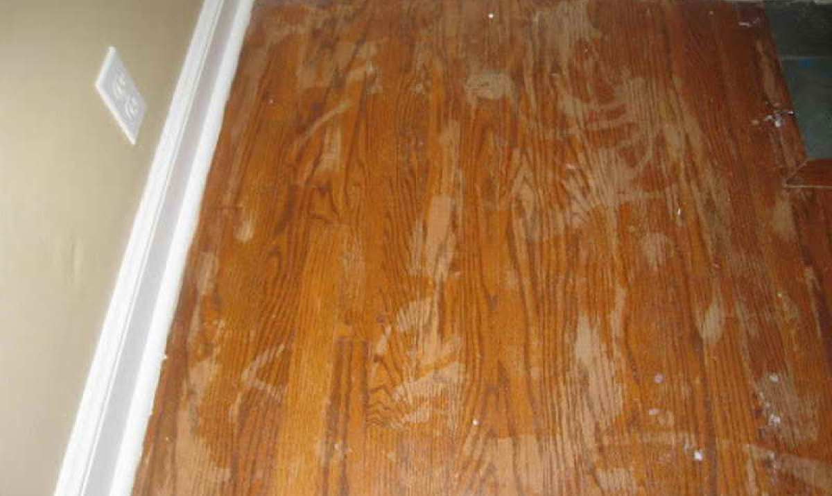 30 Famous Refinishing Hardwood Floors Vs Replacing 2024 free download refinishing hardwood floors vs replacing of fixing hardwood floors without sanding wooden thing inside flooring refinish hardwood floor without sanding diy homes