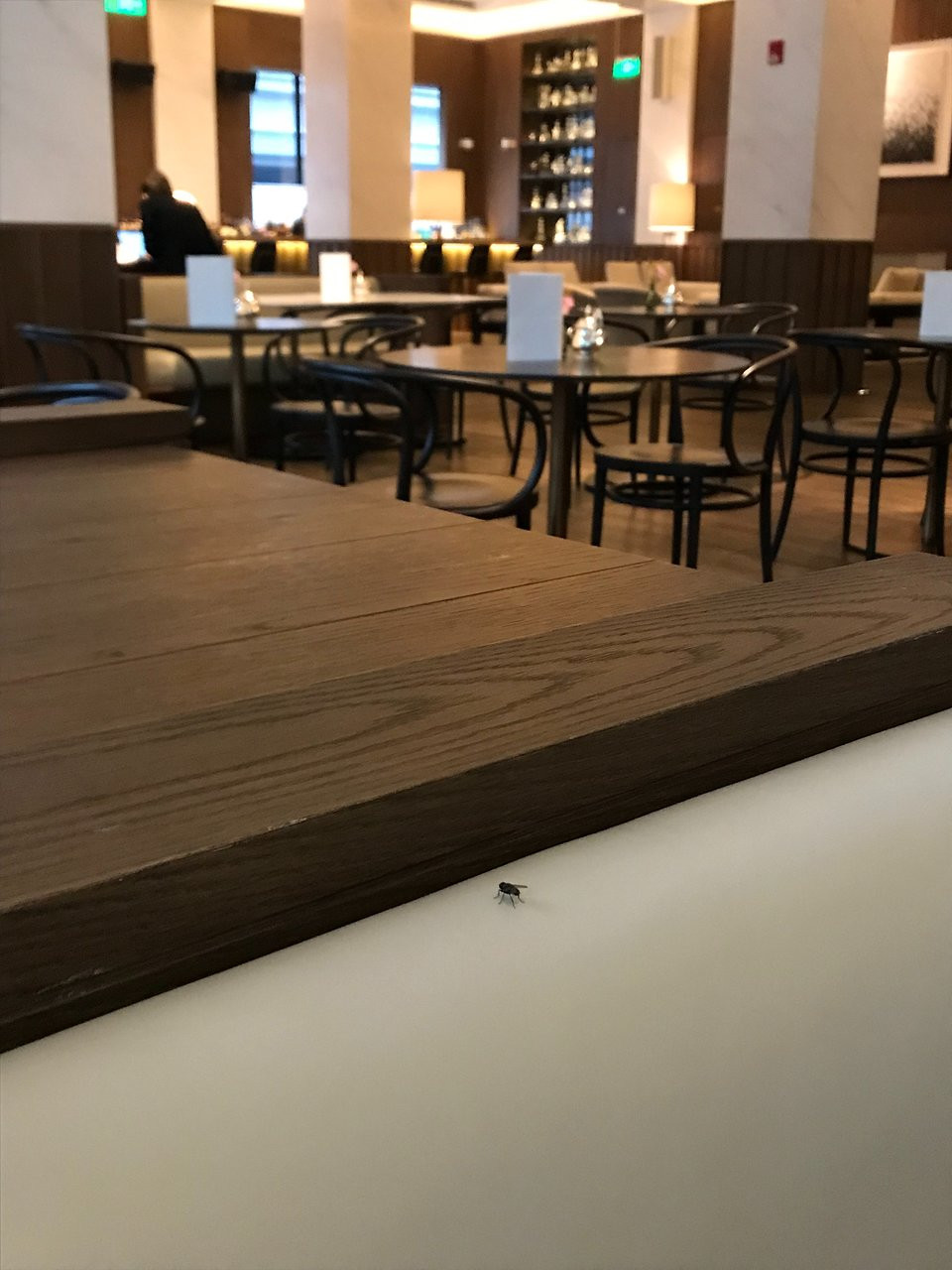 14 Fashionable somerset Hardwood Flooring Company 2024 free download somerset hardwood flooring company of the shanghai edition updated 2018 hotel reviews price comparison throughout the shanghai edition updated 2018 hotel reviews price comparison and 446 pho