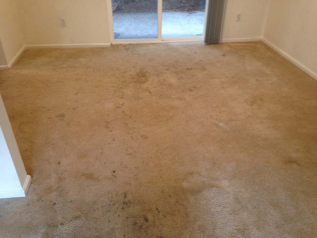 21 Ideal Stanley Steemer Hardwood Floor Cleaning Cost 2024 free download stanley steemer hardwood floor cleaning cost of procyon extreme carpet cleaner review regarding the odorless can be good or bad if your customers like a bit of a smell then you need to add a