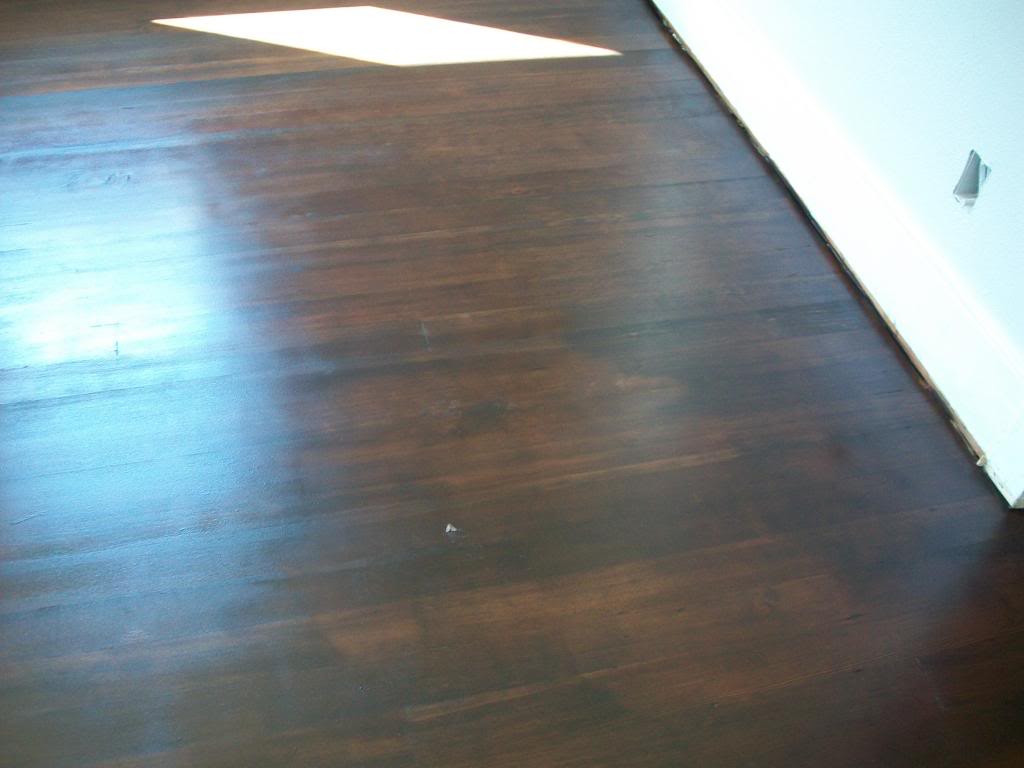 22 Amazing Tacoma Hardwood Floors 2024 free download tacoma hardwood floors of a dark stain will mask urine stains on a hardwood floor gamefishin com regarding a dark stain will mask urine stains on a hardwood floor