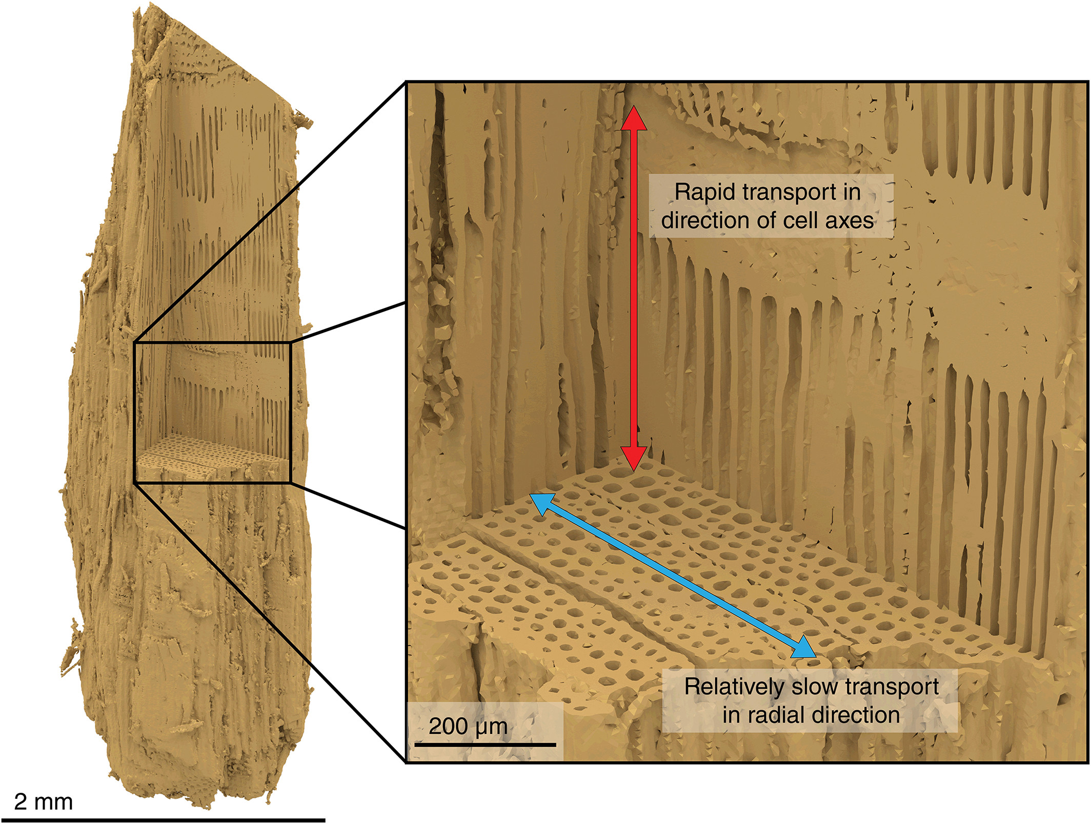 12 Perfect Tj Hardwood Floors Inc 2024 free download tj hardwood floors inc of advancing catalytic fast pyrolysis through integrated multiscale for normal view magnified view