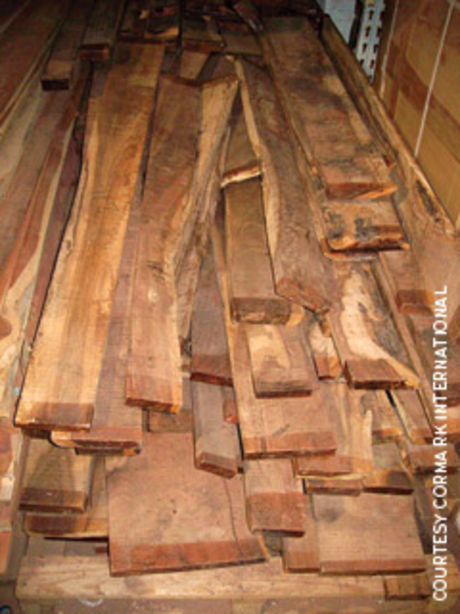 28 Spectacular wholesale Hardwood Flooring Portland oregon 2024 free download wholesale hardwood flooring portland oregon of olive wood use branches out far and wide woodshop news with regard to image placeholder title